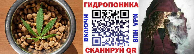 Cannafood марихуана  сколько стоит  Короча 