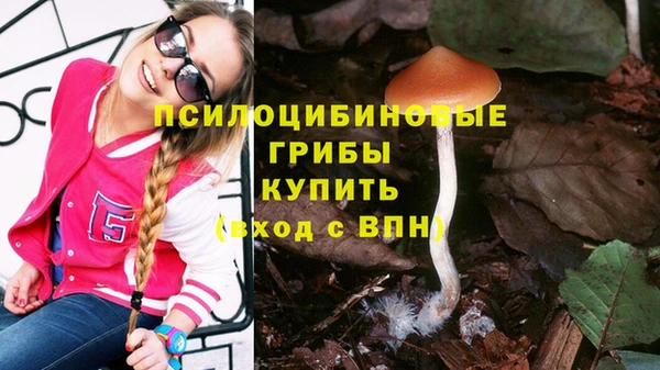 гашиш Надым