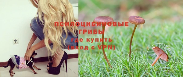 гашиш Надым