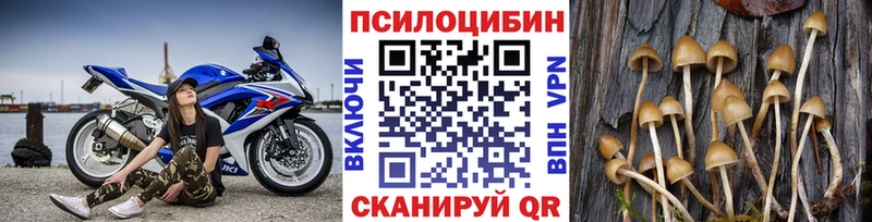 Псилоцибиновые грибы прущие грибы kraken ССЫЛКА Короча
